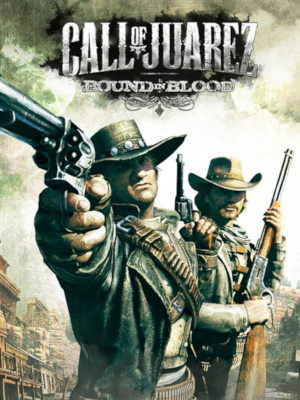 Call of Juarez: Bound in Blood